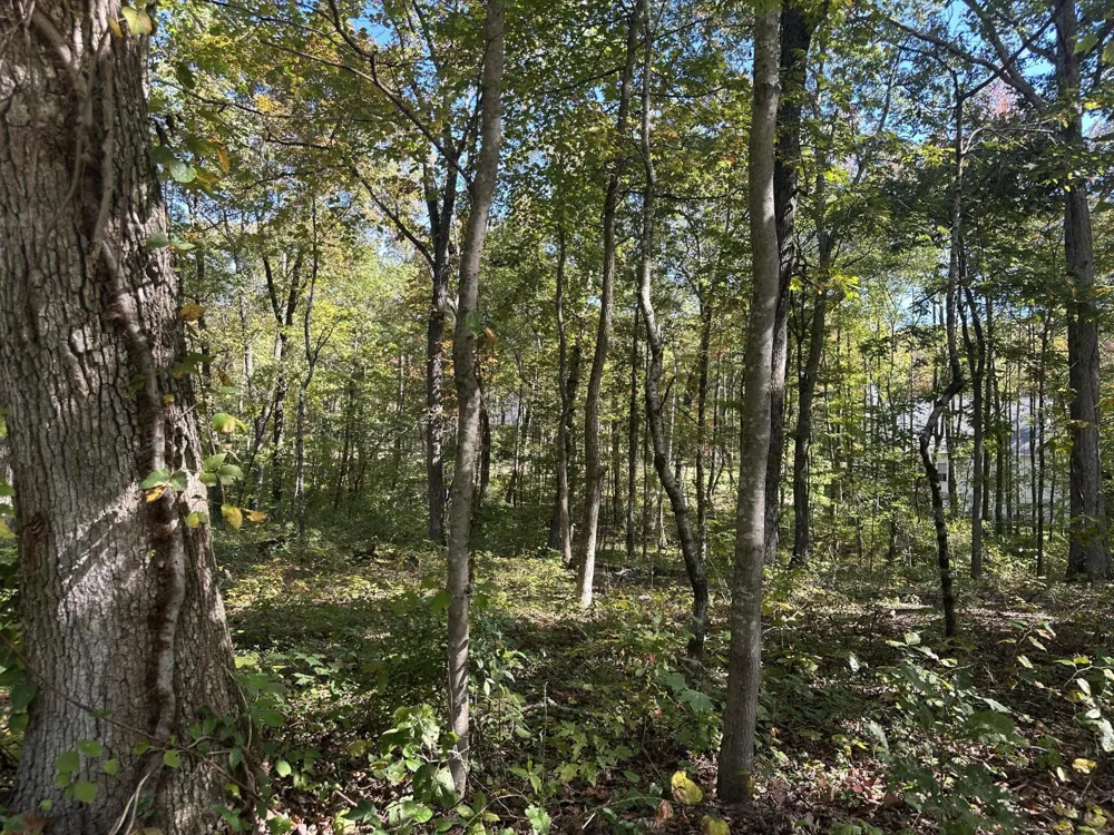 4276 Taft Highway Signal Mountain, TN 37377