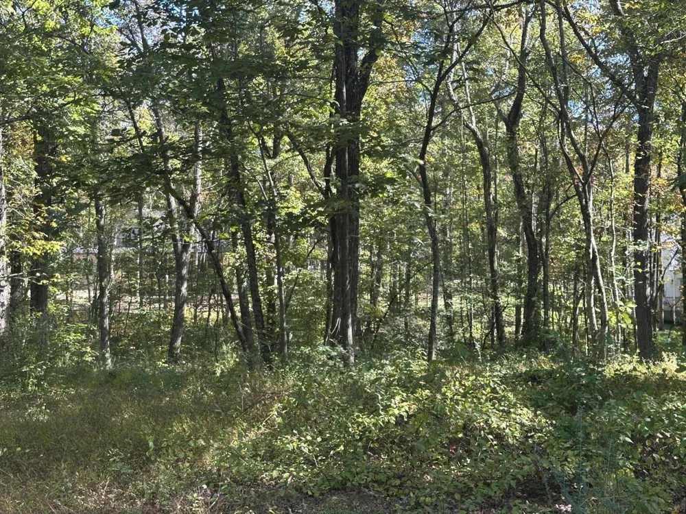 4276 Taft Highway Signal Mountain, TN 37377