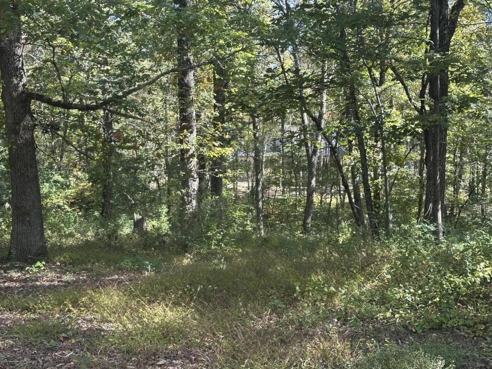 4276 Taft Highway Signal Mountain, TN 37377