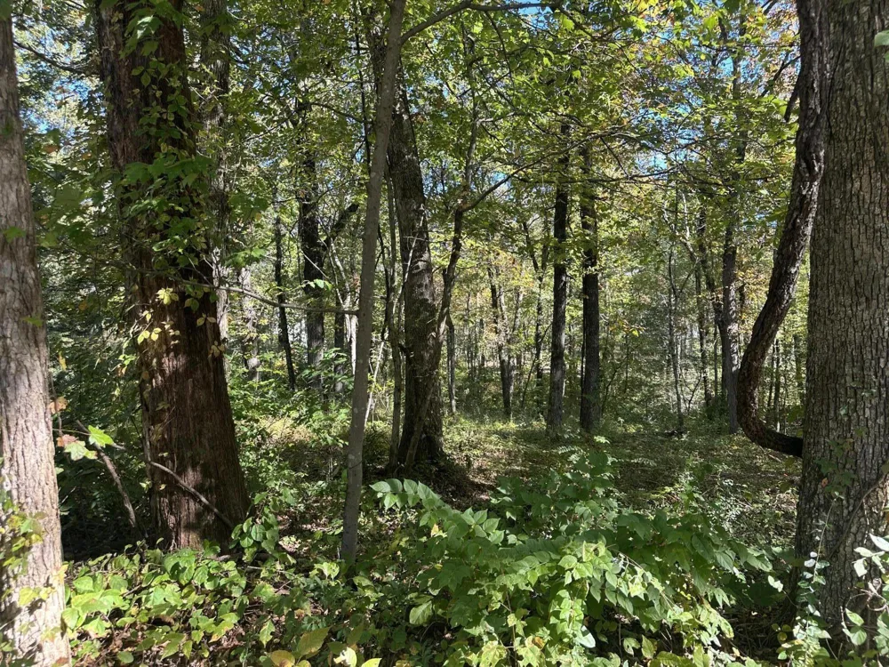 4276 Taft Highway Signal Mountain, TN 37377