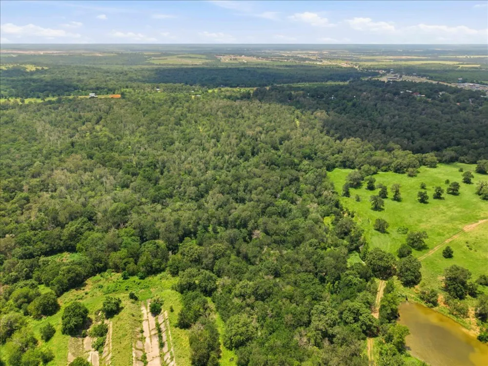 Fawn Ridge Road Cedar Creek, TX 78612