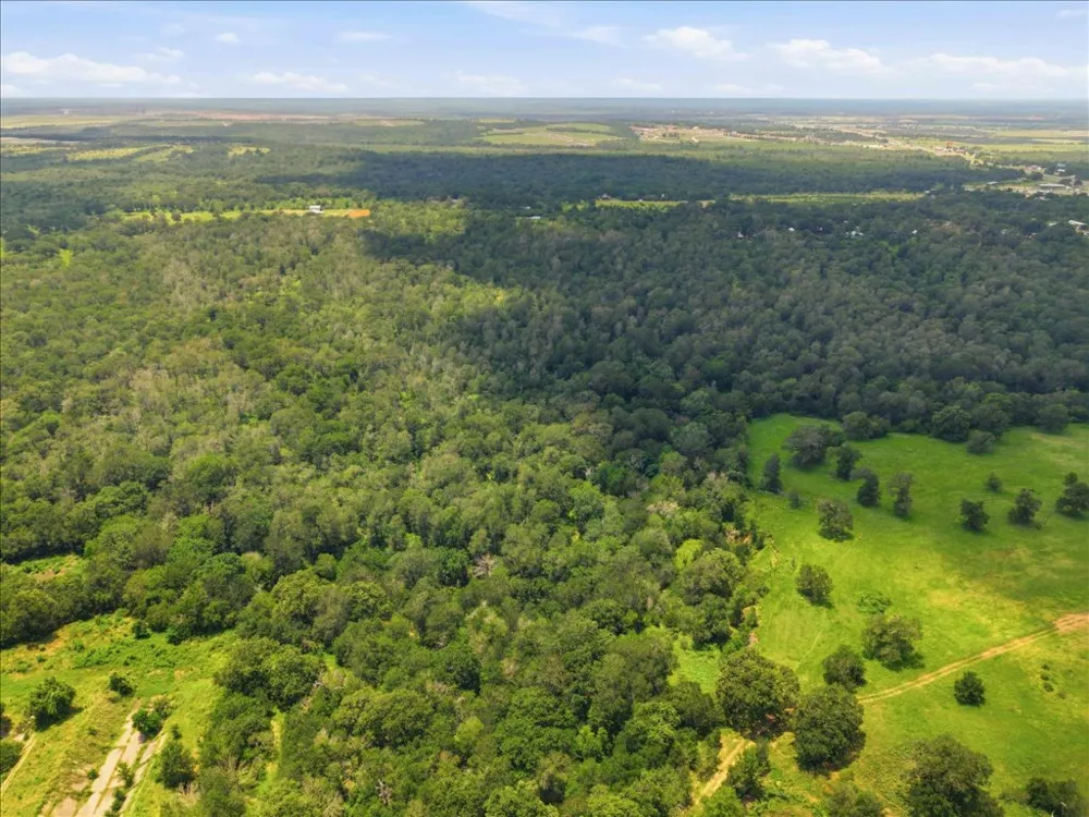 Fawn Ridge Road Cedar Creek, TX 78612