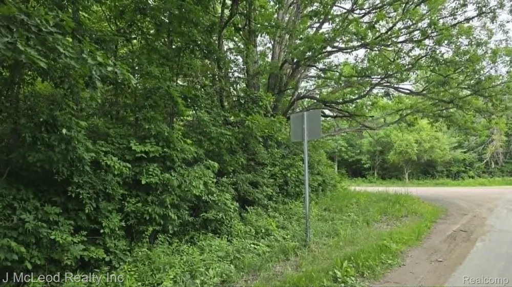 Lewis Road Thetford Township, MI 48420