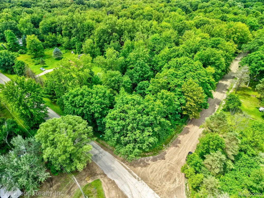 Lewis Road Thetford Township, MI 48420