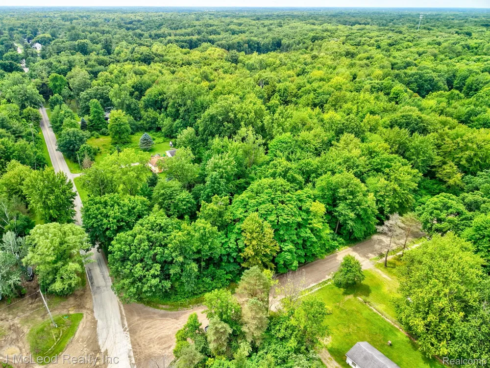 Lewis Road Thetford Township, MI 48420