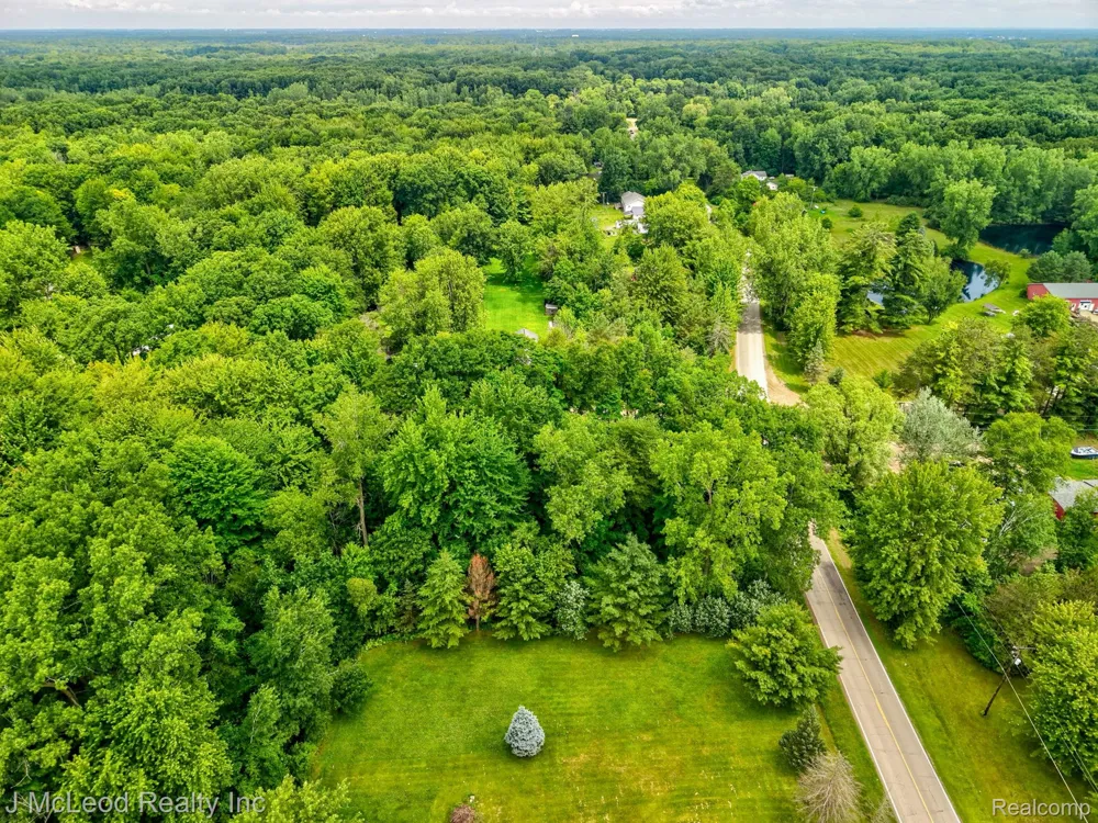 Lewis Road Thetford Township, MI 48420