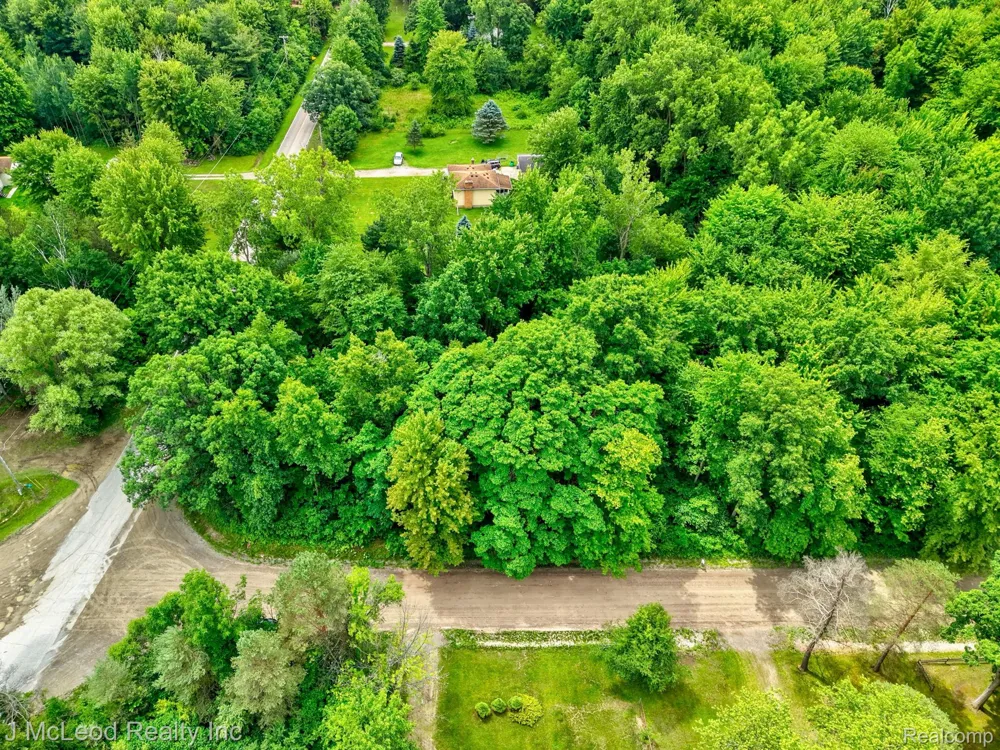 Lewis Road Thetford Township, MI 48420