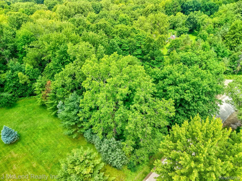 Lewis Road Thetford Township, MI 48420