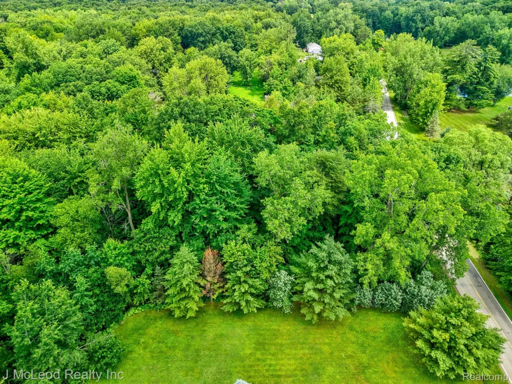 Lewis Road Thetford Township, MI 48420