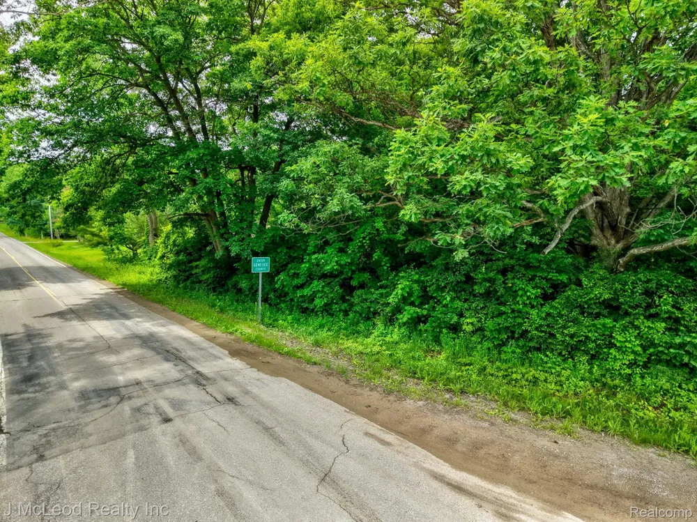 Lewis Road Thetford Township, MI 48420