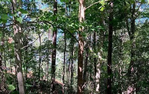 0 Red Oak Trail