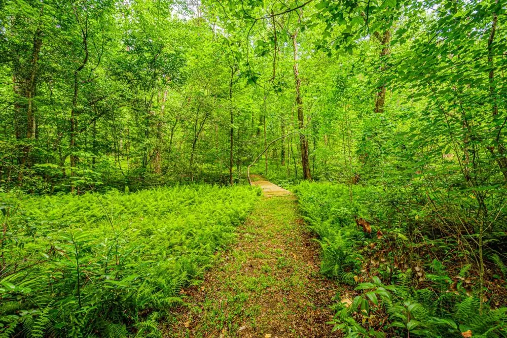 190 Still Road Clarkesville, GA 30523