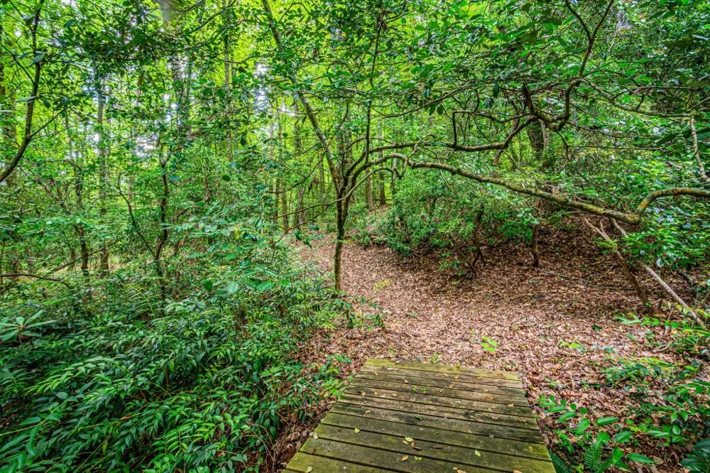 190 Still Road Clarkesville, GA 30523