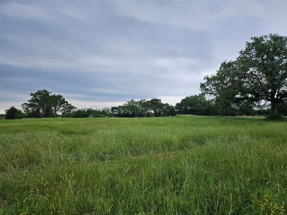 10224 Fm 1861 Eustace, TX 75124