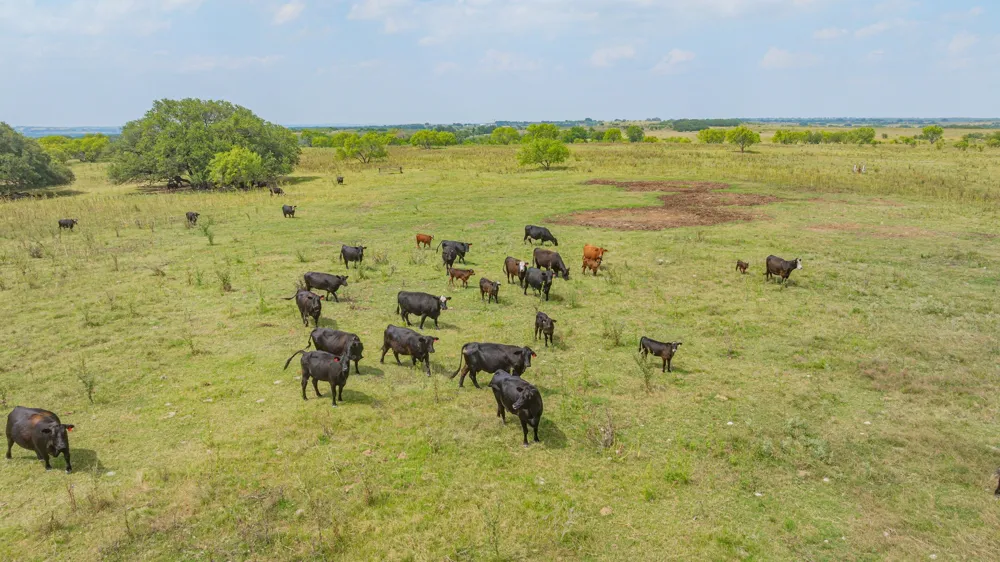 2901 Fm 1476 Dublin, TX 76446