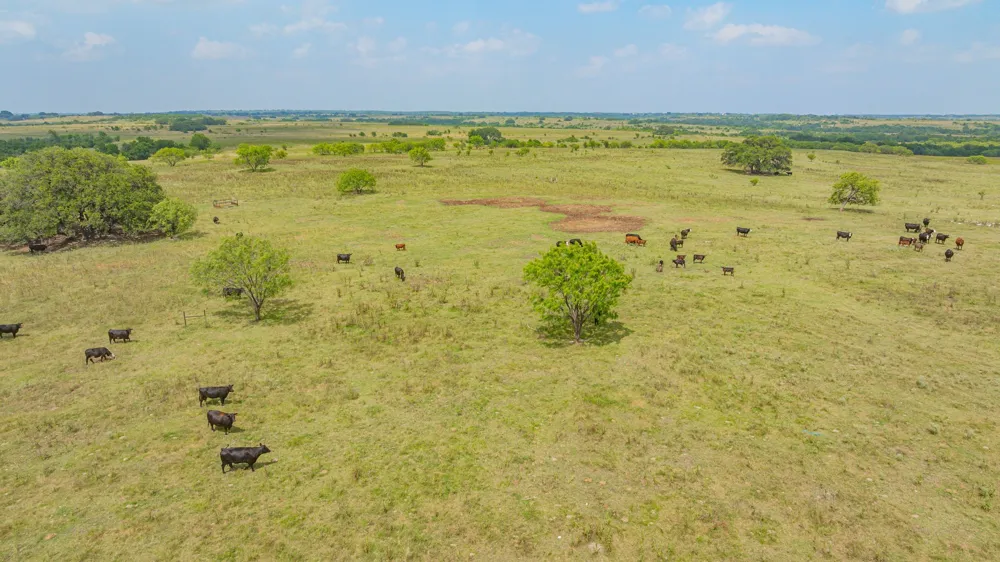 2901 Fm 1476 Dublin, TX 76446