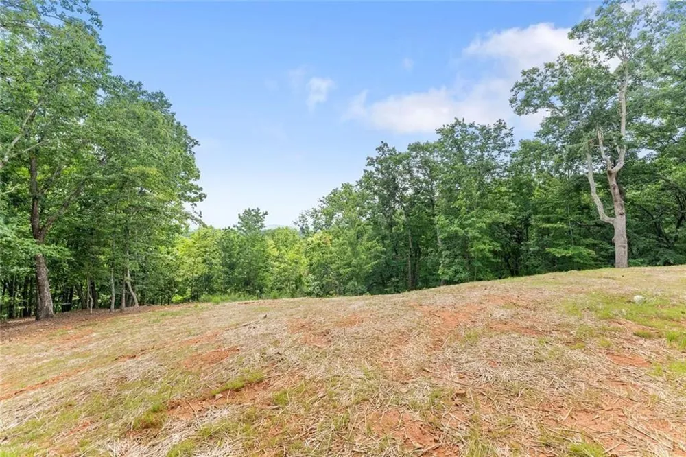 1055 S Laceola Road Cleveland, GA 30528