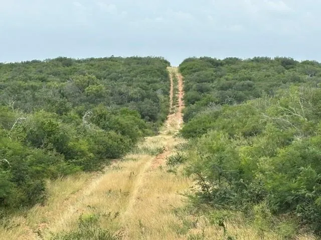 5394 Fm 2200 W Moore, TX 78016