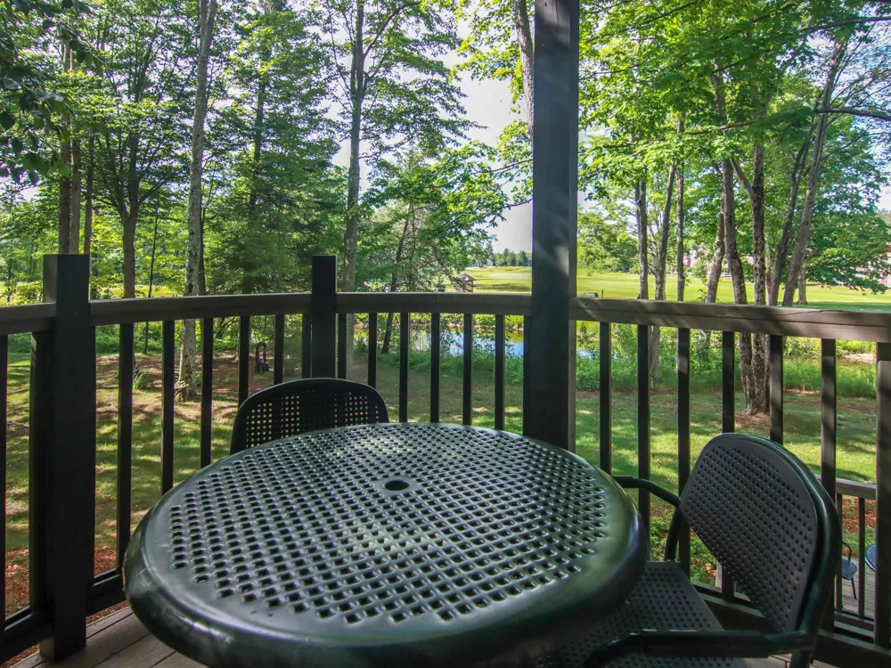 Wintergreen Drive Weldon Township, MI 49683