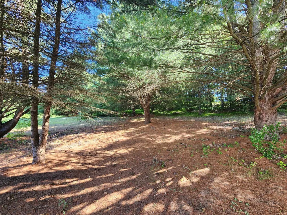 10221 E Church Road Richland Township, MI 48891