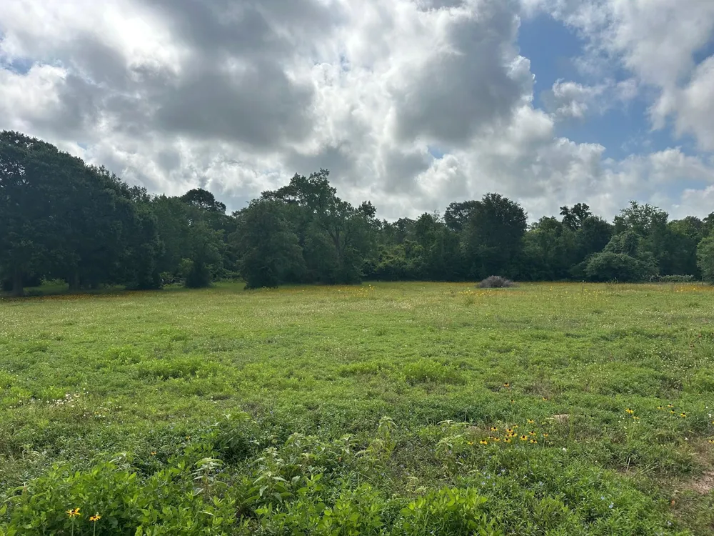 6220 Mill Creek Road Cat Spring, TX 78933