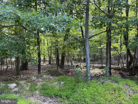 ROBERTS ROAD