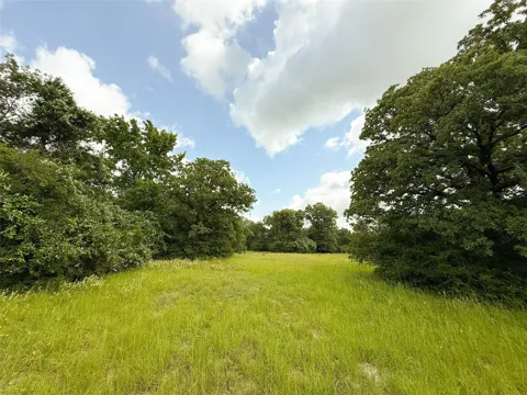 2689 County Road 261