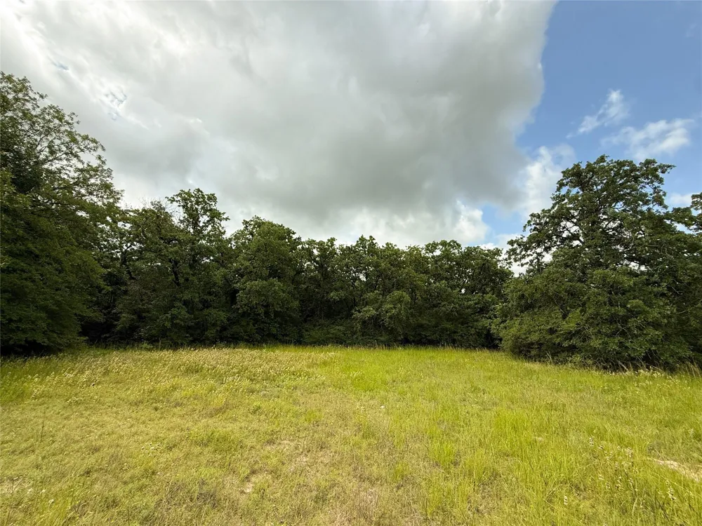 2689 County Road 261 Oakwood, TX 75855