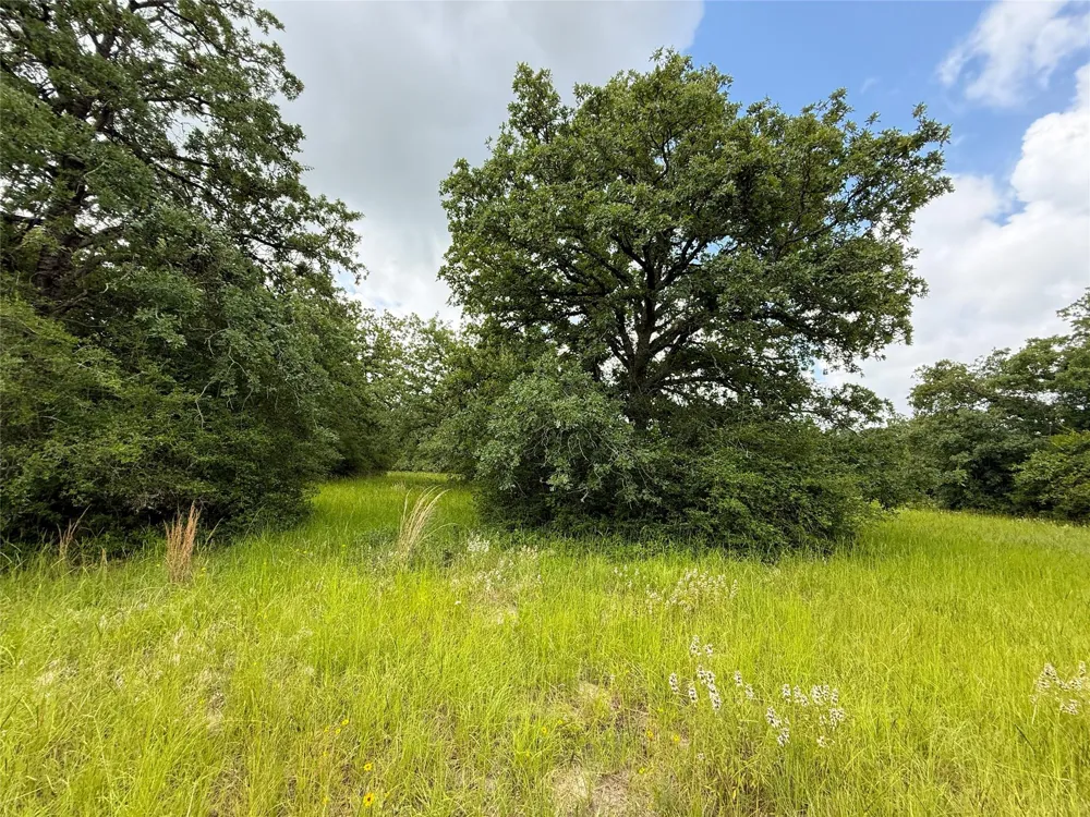 2689 County Road 261 Oakwood, TX 75855