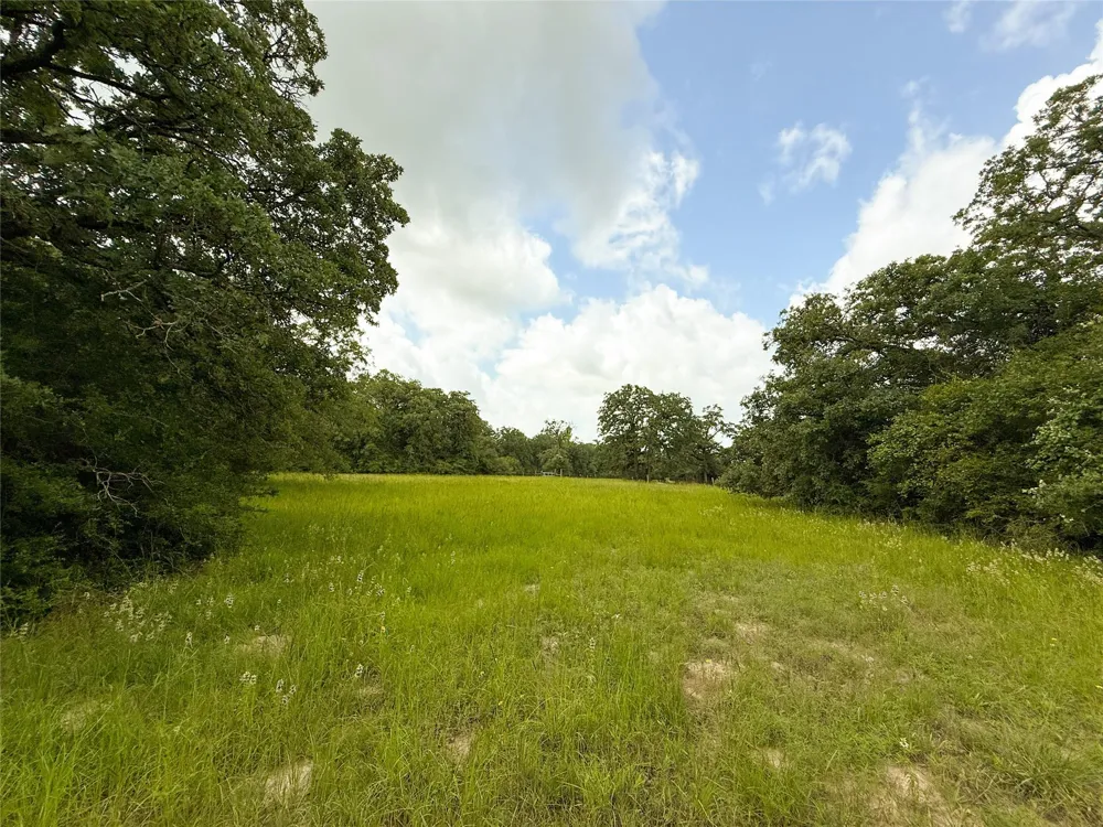 2689 County Road 261 Oakwood, TX 75855