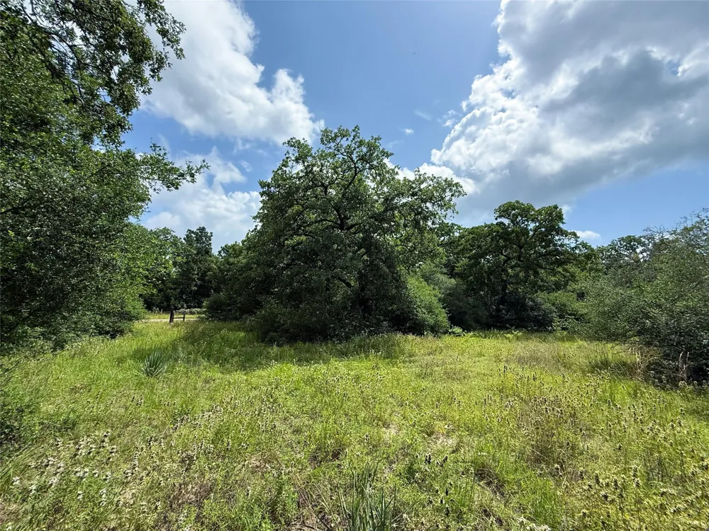 2689 County Road 261 Oakwood, TX 75855