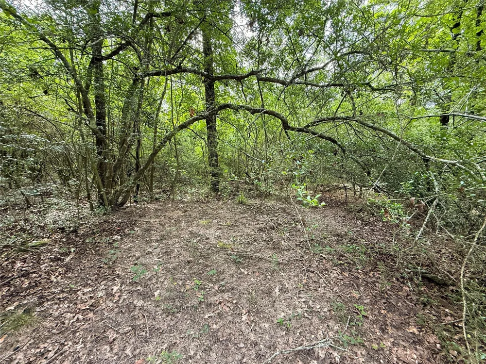 2689 County Road 261 Oakwood, TX 75855