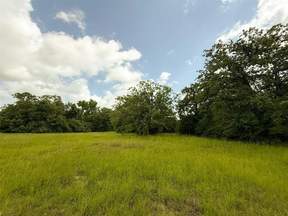 2689 County Road 261 Oakwood, TX 75855