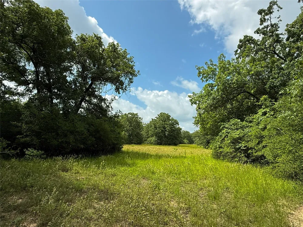 2689 County Road 261 Oakwood, TX 75855