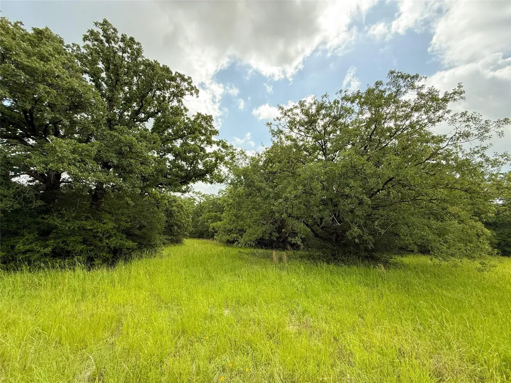 2689 County Road 261 Oakwood, TX 75855