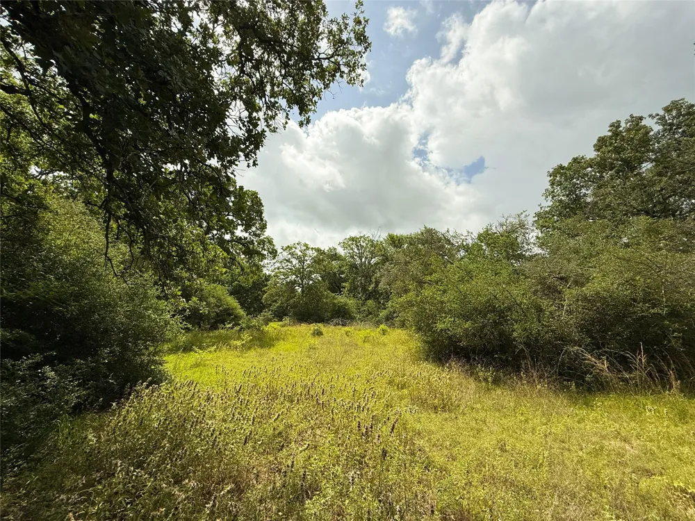 2689 County Road 261 Oakwood, TX 75855