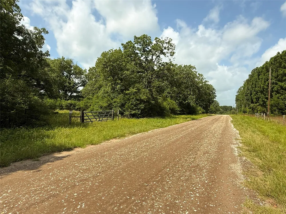 2689 County Road 261 Oakwood, TX 75855