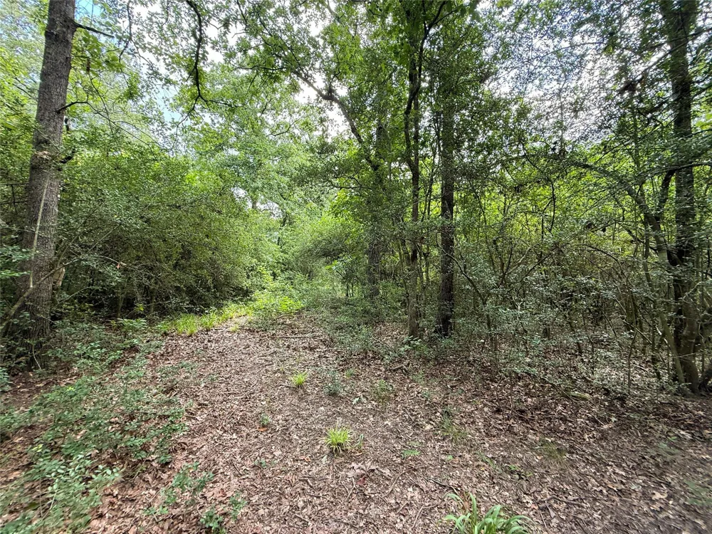 2689 County Road 261 Oakwood, TX 75855