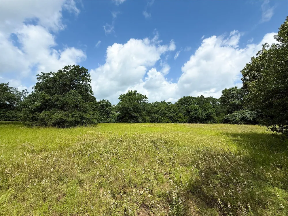 2689 County Road 261 Oakwood, TX 75855