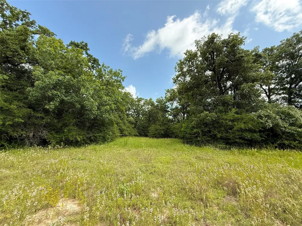 2689 County Road 261 Oakwood, TX 75855