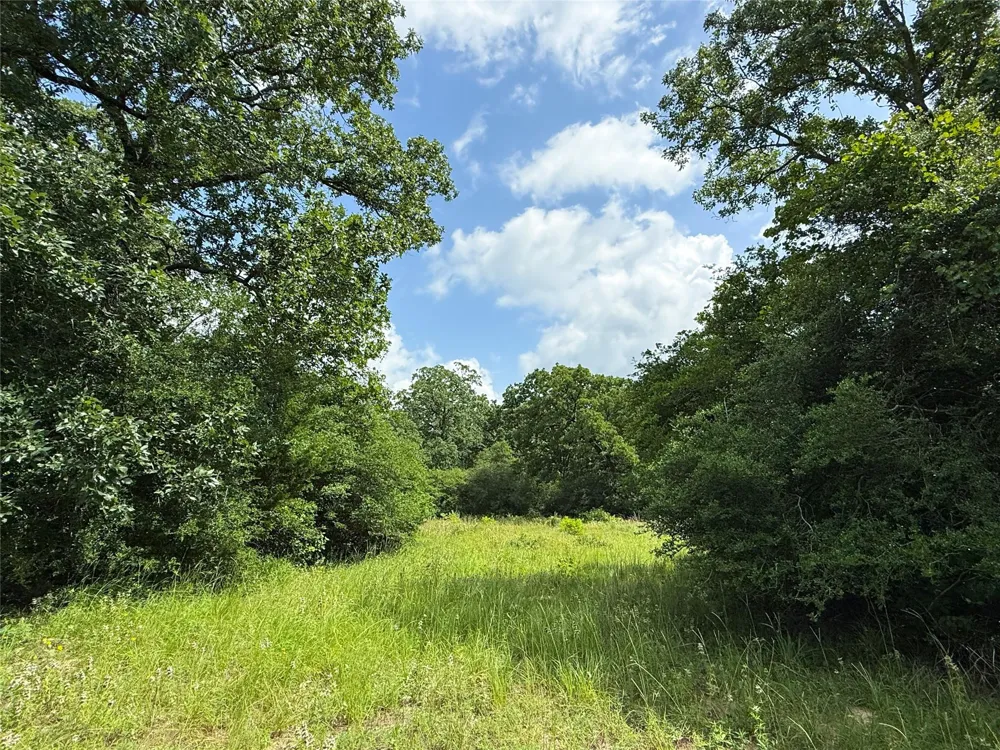 2689 County Road 261 Oakwood, TX 75855