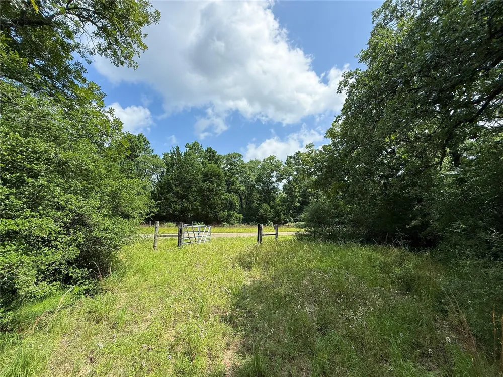 2689 County Road 261 Oakwood, TX 75855