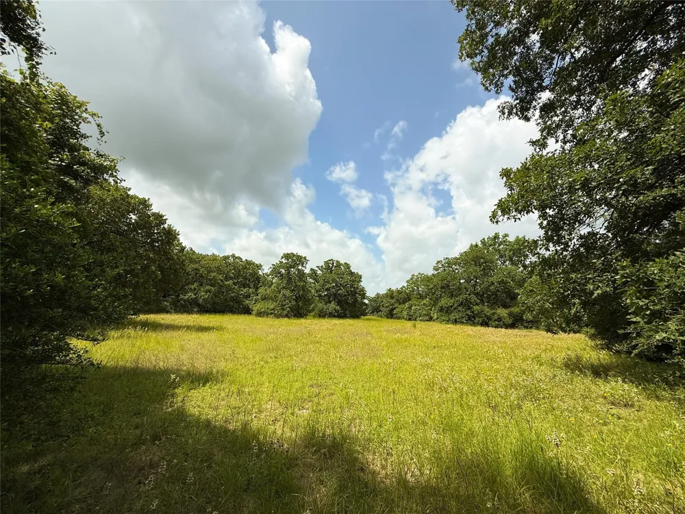 2689 County Road 261 Oakwood, TX 75855