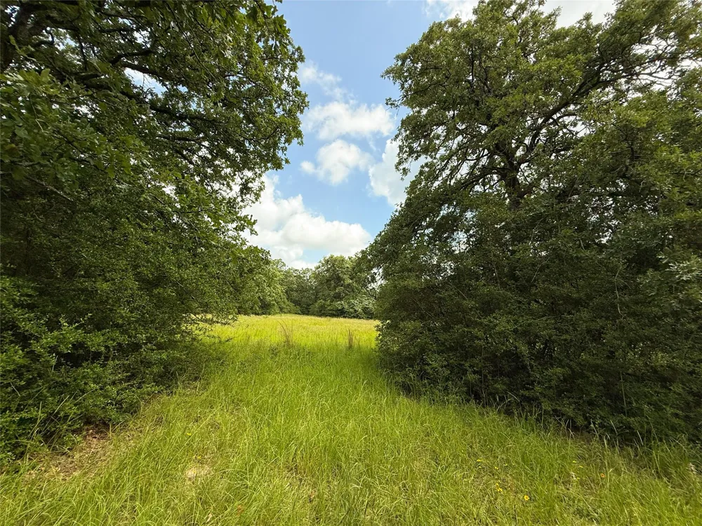 2689 County Road 261 Oakwood, TX 75855