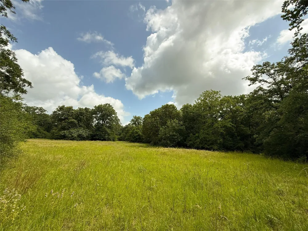 2689 County Road 261 Oakwood, TX 75855