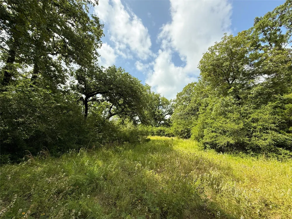 2689 County Road 261 Oakwood, TX 75855