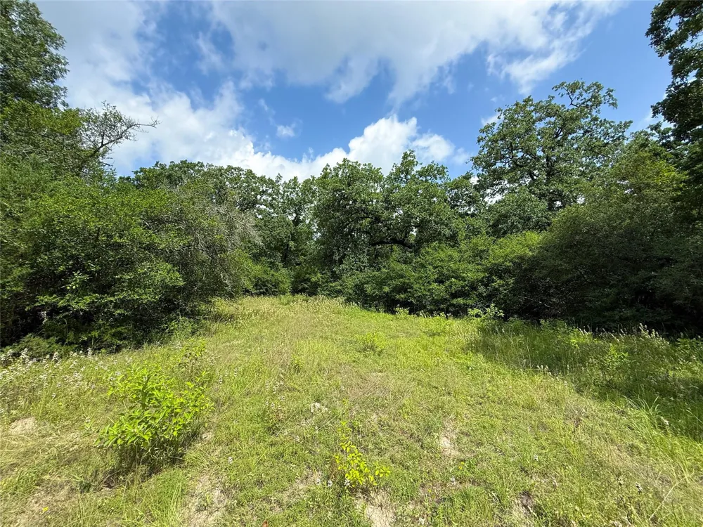 2689 County Road 261 Oakwood, TX 75855
