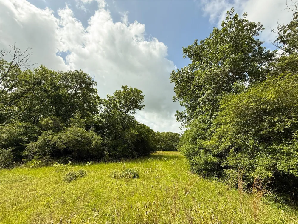 2689 County Road 261 Oakwood, TX 75855