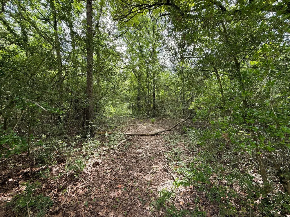 2689 County Road 261 Oakwood, TX 75855