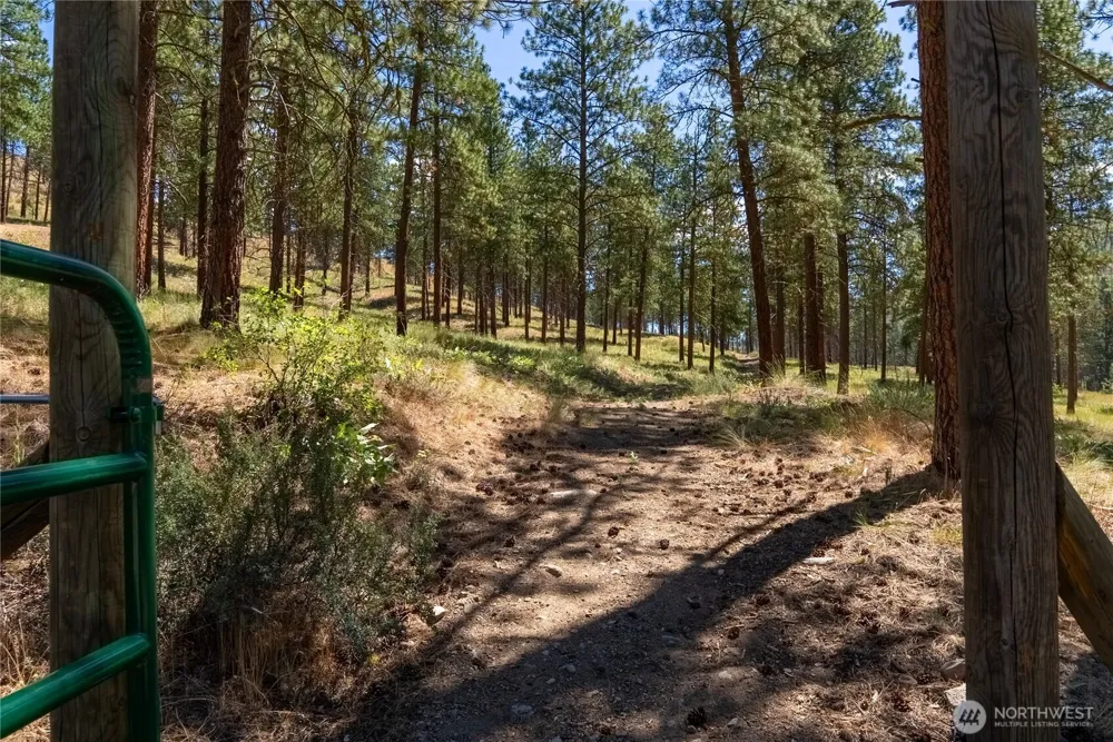 10 Sims Canyon Rd Twisp, WA 98856